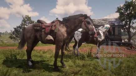 Два коня на охоте в RDR 2