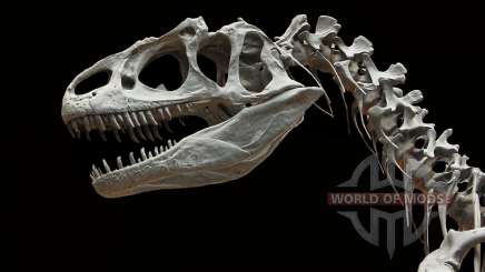 Кости динозавров RDR 2