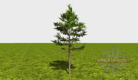 Forestry trees для Farming Simulator 2015