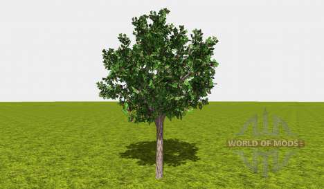 Fruit and berry trees v1.1 для Farming Simulator 2015
