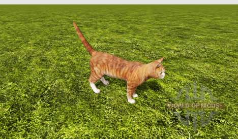 Cat для Farming Simulator 2017