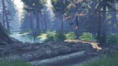 Карамзина для Spin Tires