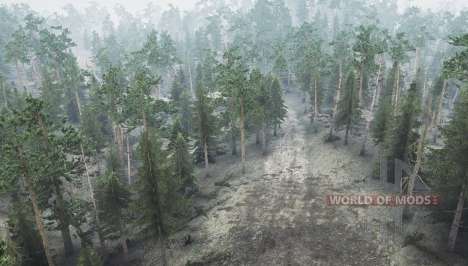 Хвойный лес для Spintires MudRunner
