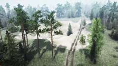 GrassRoad для MudRunner