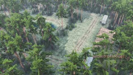 Sashishi для Spin Tires