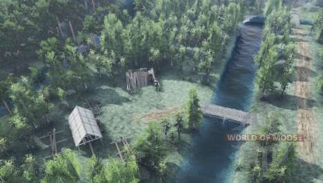 Sashishi для Spin Tires