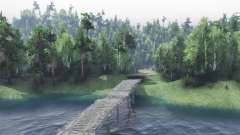 БАМ для Spin Tires