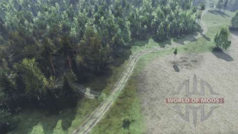 Memey для Spin Tires