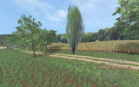 Biedrzychowice для Farming Simulator 2015