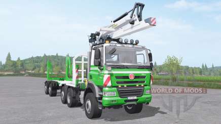 Tatra Phoenix T158 timber truck для Farming Simulator 2017